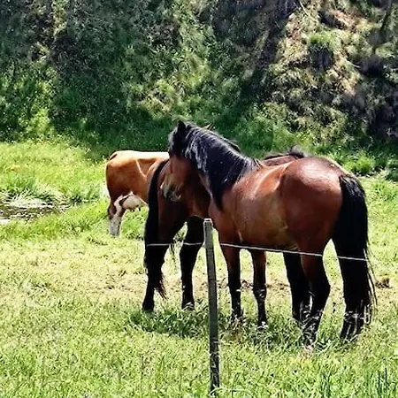 Ceranski Apartament Zlatibor